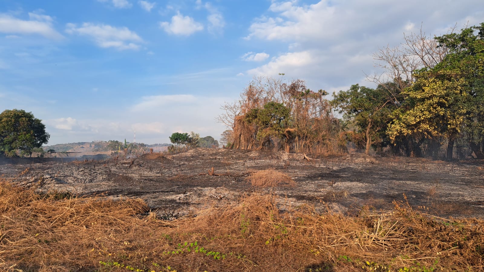 Lahan 2 Hektar di Romangloe Terbakar, Aksi Cepat Babinsa Cegah Api Meluas